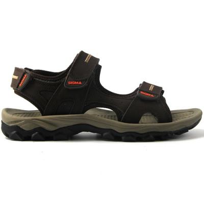 JS2317T